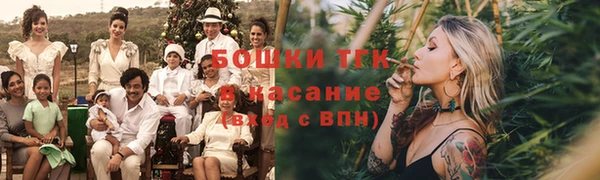 PSILOCYBIN Сосновый Бор
